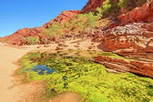 Red Centre Australia Drucke: Viewpoint between Pound Walk