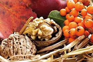 Autumn Decoration Drucke: Walnuts and firethorn in straw