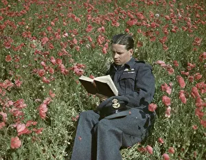 Second World War Leaders Drucke: Wing Commander Guy Gibson VC, Commanding Officer of No