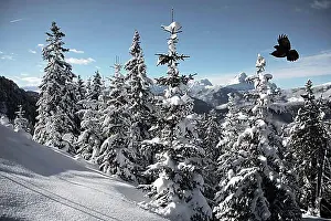 Alpine Climbing Drucke: Winter