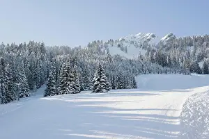 Winter Mountain Scenery Drucke: A winter scene