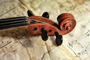 Stringed Musical Instrument Drucke: 1937 old violin on the background of notes
