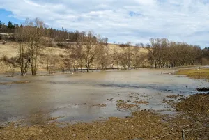 German Landscape Photography Drucke: 2006, Germany, Greiz, Thuringia
