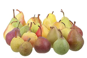 Plain Background Cutouts Drucke: 24 different varieties of pears