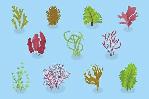 Tropical Underwater Scene Drucke: 3D Isometric Flat Set of Seaweeds