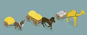 Horse Riding Sport Drucke: 3D Isometric Flat Vector Set of Draft Animals
