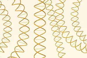 Deoxyribonucleic Acid Drucke: 3d rendering of DNA (deoxyribonucleic acid) structure
