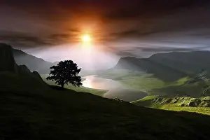 Tree Silhouette At Sunset Drucke: 3d rendering of a sunset over a valley with a tree silhouette