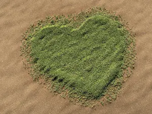 Symbolic Heart Image Drucke: 3d-visualisation of a heart-shaped grass area on a sandy surface