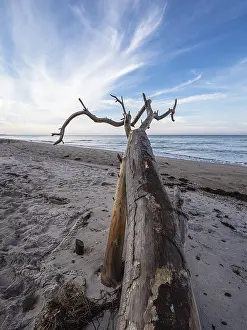 Deserted Beach Germany Drucke: #50650600