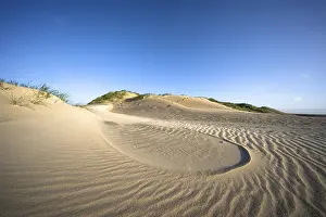 Sandy Dunes In Europe Drucke: #50651219