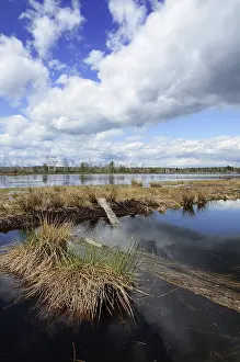 Bavaria Wetland Landscape Drucke: Abandoned peat cutting area with reflection of clouds