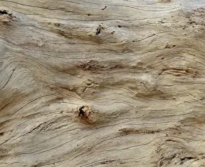 Full Frame Wood Texture Drucke: Abstract Background Texture Of Smooth Driftwood