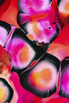 Vibrant Colors Drucke: An abstract composition featuring vivid pink
