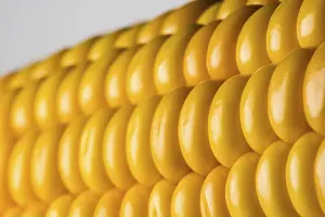 Agricultural Crop Images Drucke: Abstract detail of corn on the cob