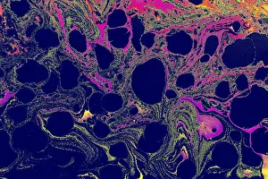 Full Frame Background Image Drucke: Abstract creative marbling pattern for fabric
