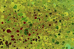 No People Background Graphic Drucke: Abstract creative marbling pattern templat for fabric