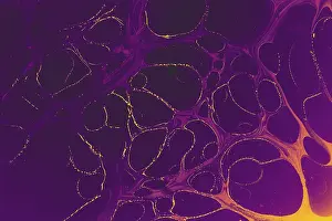 Fabric Design Background Drucke: Abstract creative marbling pattern templat for fabric