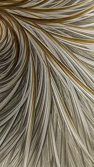 Abstract Feather Background Drucke: Abstract feather background - computer-generated image