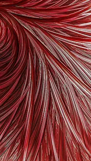 Fractal Geometry Images Drucke: Abstract feather background - computer-generated image