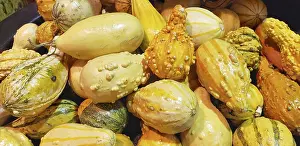 Colorful Autumnal Scene Drucke: Abstract several gourds background