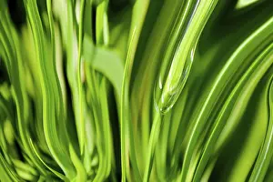 Contemporary Architectural Style Drucke: Abstract grass background pattern in green colors
