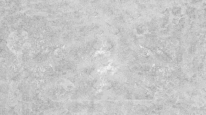 Full Frame Abstract Art Drucke: Abstract gray textured surface with a rough
