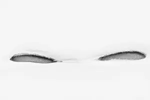 Snowy Mountain Landscape Photos Drucke: Abstract ice formations in snow