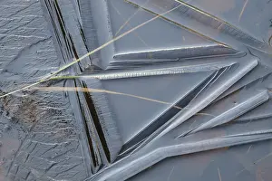 Close Up Ice Crystal Patterns Drucke: Abstract ice structures, Norrbotten