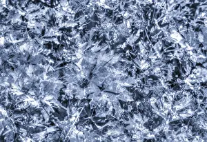Drucke von Abstrakt, Blätter, Kreativ, Zweifarbige, Monochrom, Schwarz-Weiß-Foto, Hintergrund überall , Muster , Design , Kunstvoll , Deutschland Bicolor Drucke: Abstrakt, Blätter, Kreativ, Zweifarbig