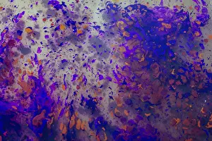 Abstract Marbling Art Drucke: Abstract marbling art patterns in paint as background