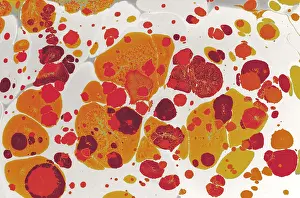 Abstract Background Image Drucke: Abstract marbling pattern for fabric