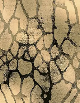 Cracked Earth Texture Drucke: Abstract pattern featuring organic