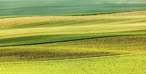 Central Europe Agriculture Scene Drucke: Abstract pattern of rolling striped fields in summer