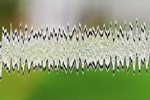 Empty Full Frame Image Drucke: Abstract pattern, zigzag, symbol for electricity