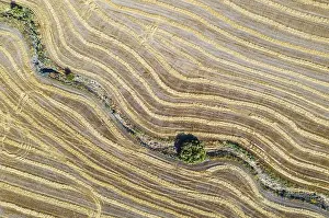 Andalusia Agricultural Landscape Drucke: Abstract patterns in cornfield after wheat harvest