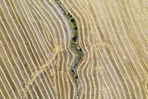 Agricultural Landscapes From Above Drucke: Abstract patterns in cornfield after wheat harvest