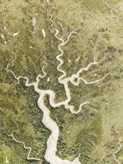 High Angle View Of Spanish Wetlands Drucke: Abstract patterns of dry streams at low tide