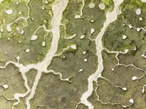 Cadiz Province Landscape Drucke: Abstract patterns of dry streams at low tide