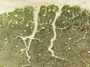 Wetland Biotope Andalusia Drucke: Abstract patterns of dry streams at low tide