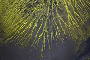 Uninhabited Highland Scenery Drucke: Abstract patterns of moss in black sand desert
