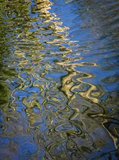Water Reflection Photography Drucke: Abstract reflection of a tree in the pond in a park