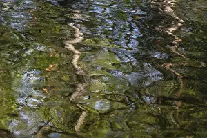 Storsjon Lake Reflections Sweden Drucke: Abstract reflections, Anderson