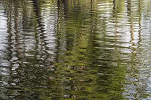 Storsjon Lake Reflections Sweden Drucke: Abstract reflections, Anderson