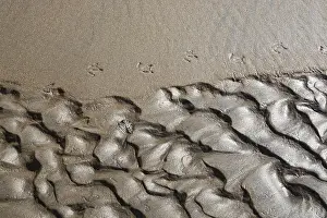 Abstract Nature Photography Drucke: Abstract sand pattern background