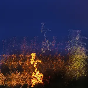 Long Exposure Road Traffic Drucke: Abstract traces of light in the night