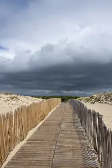Deserted Beach In France Drucke: Access to the beach, dune landscape