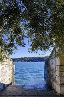 Lake Garda Scenery Drucke: Access to the water, olive tree