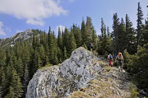 Mountain Top Leisure Activity Drucke: Acent to the summit of Mt. Krummbachstein