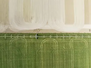 Agricultural Landscape From Above Drucke: Adjoining fields. One irrigated and with crop